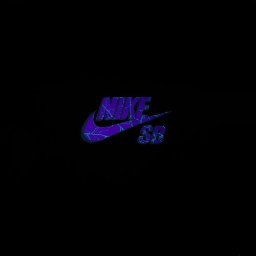 Nike SB OC Spider Tee, Black