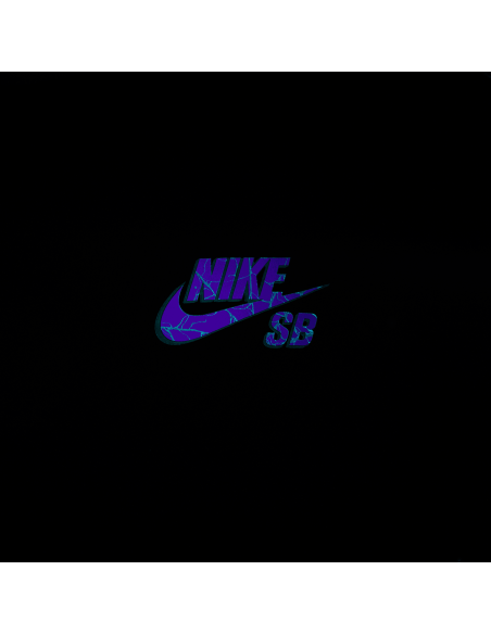 Nike SB OC Spider Tee, Black
