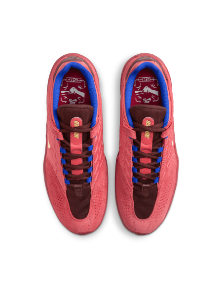 Nike SB Vertebrae TE, Adobe/Melon Tint-Earth