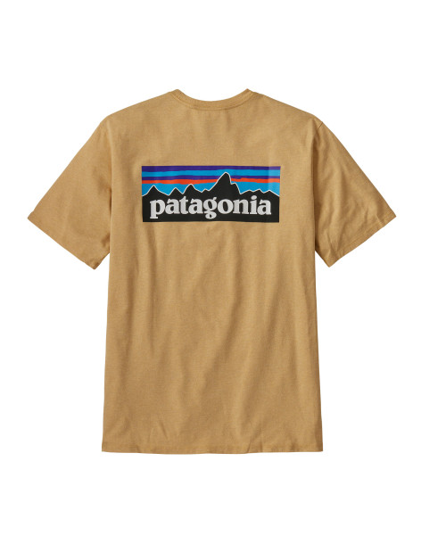 Patagonia Men's P6 Logo...
