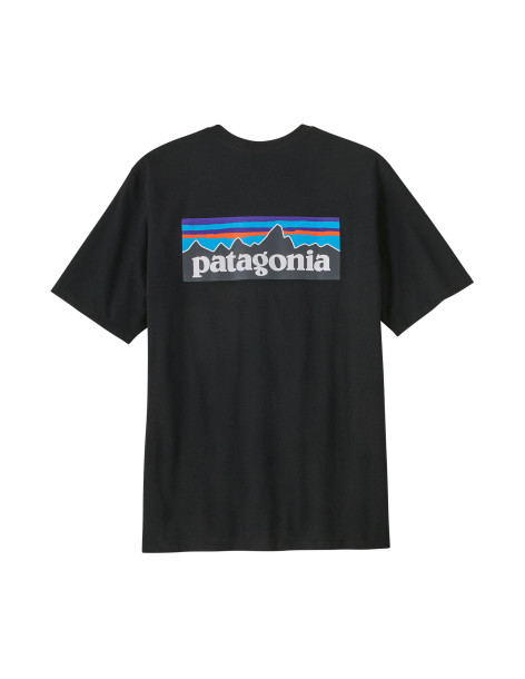 Patagonia Men's P6 Logo... 2
