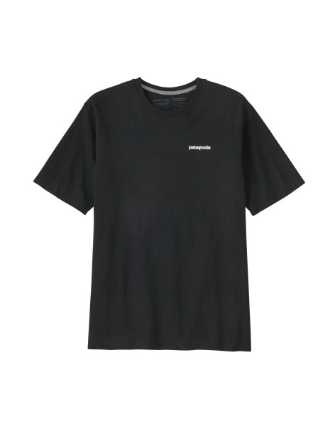Patagonia Men's P6 Logo...