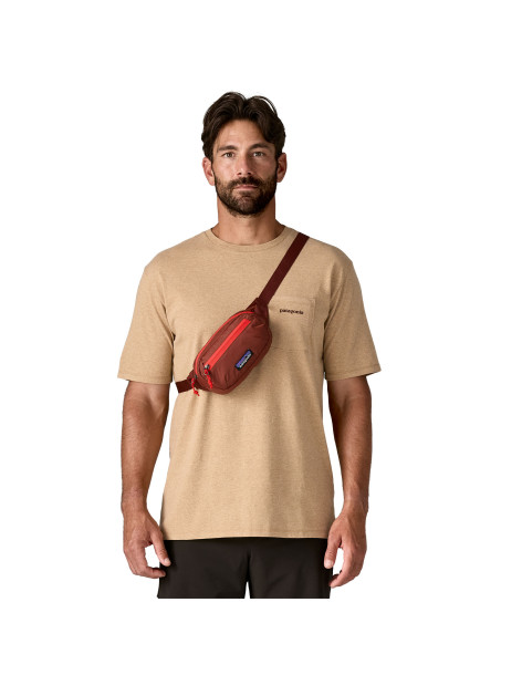 Patagonia Terravia Mini Hip... 2