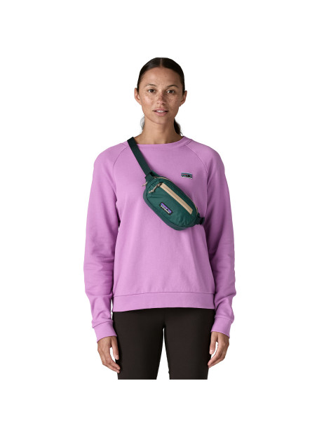 Patagonia Terravia Mini Hip... 2