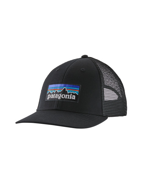 Patagonia P-6 Logo LoPro...