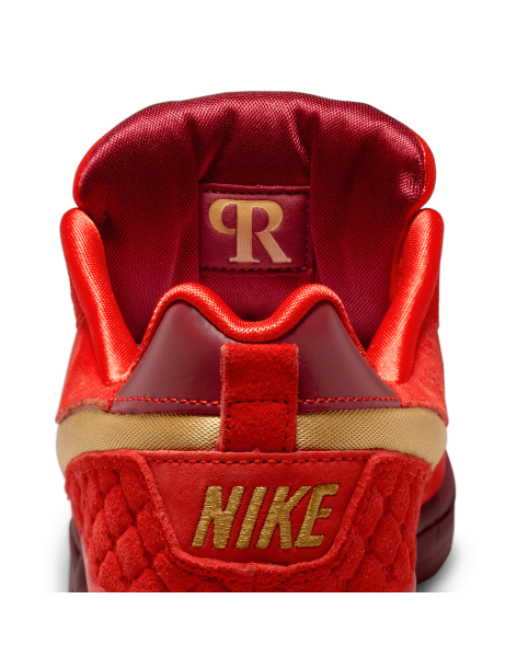 Nike SB Paul Rodriguez Zoom... 2