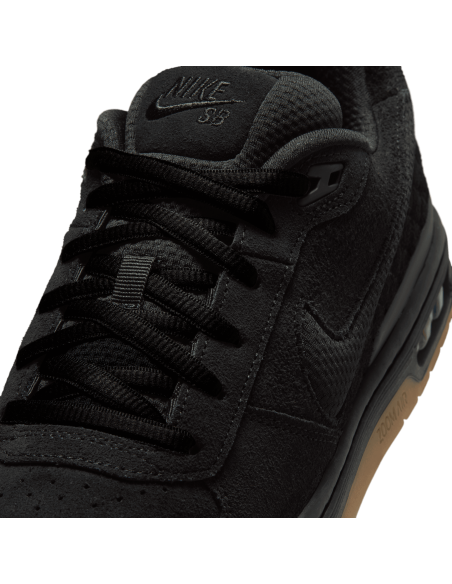 Nike SB Paul Rodríguez Zoom Air Low, Black/Black-Black