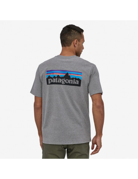 Patagonia Men's P-6 Logo Responsibili-Tee®, GLH