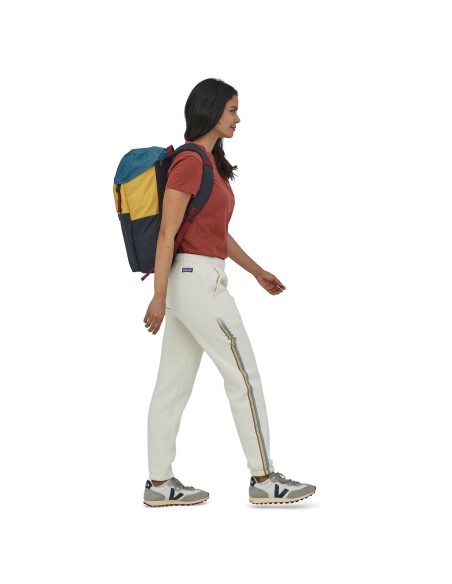 Patagonia Arbor Lid Pack, 28L