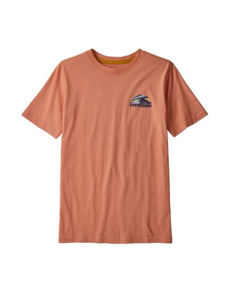 Patagonia Boy's Graphic...