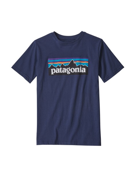 Patagonia Boy's P6 Logo...